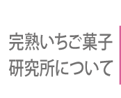 完熟いちごミ菓子研究所とは