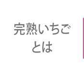 完熟いちごとは