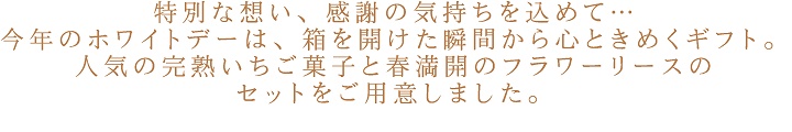 完熟いちご,ホワイトデー,ギフト