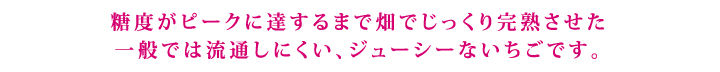 完熟いちごメインコピー