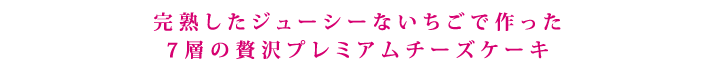 プレミアムチーズケーキ