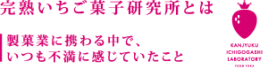 完熟いちご菓子研究所とは
