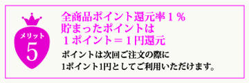 貯まったポイントは1ポイント=1円還元