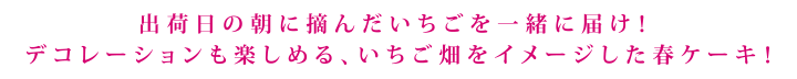 出荷日の朝に摘んだいちごを一緒に届け！ 
デコレーションも楽しめる、いちご畑をイメージした春ケーキ！