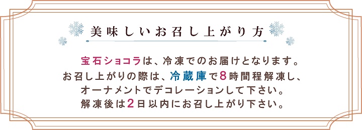 クリスマス,完熟いちご,チョコレート,ショコラ